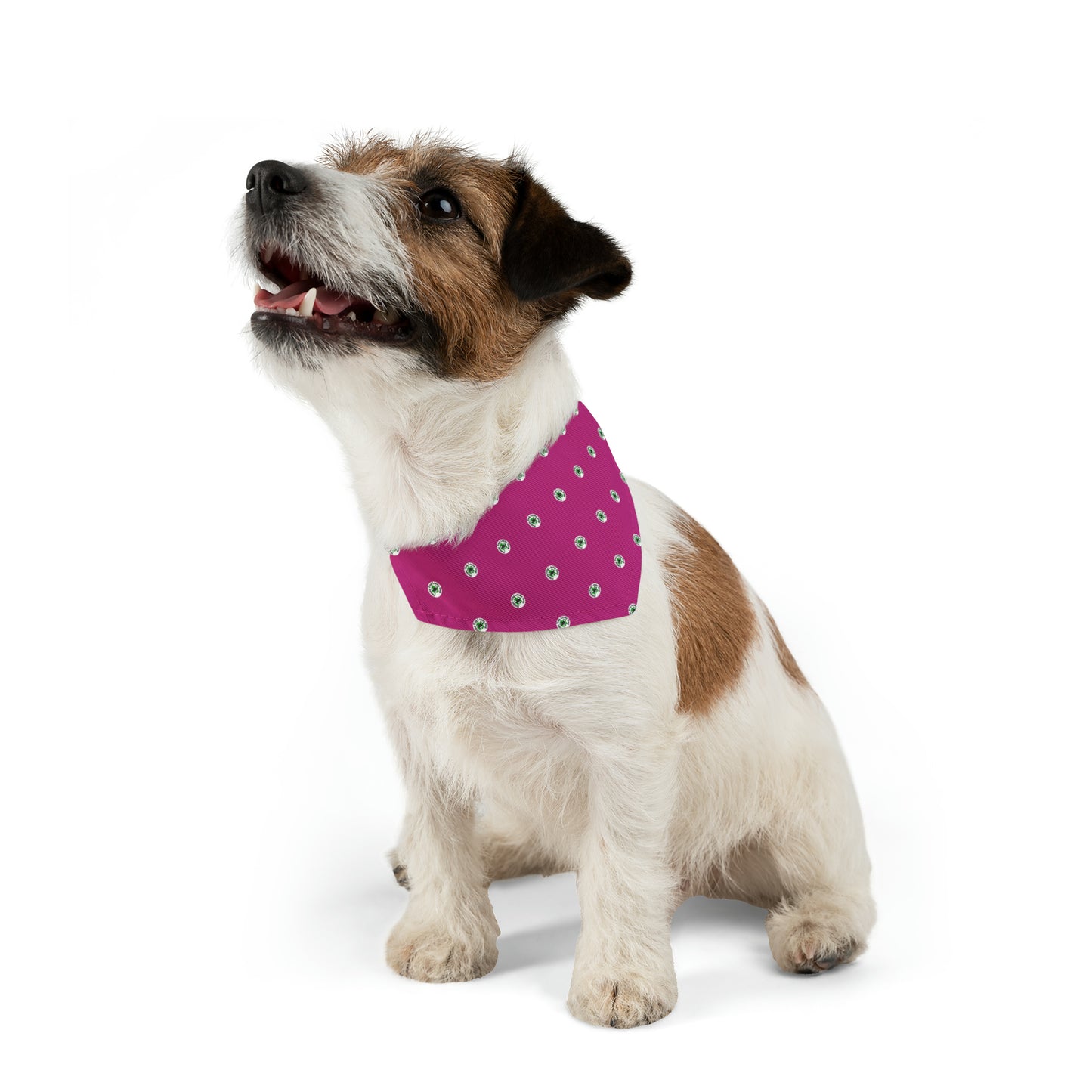 Happy Dog Lucky Dog Pet Bandana Collar