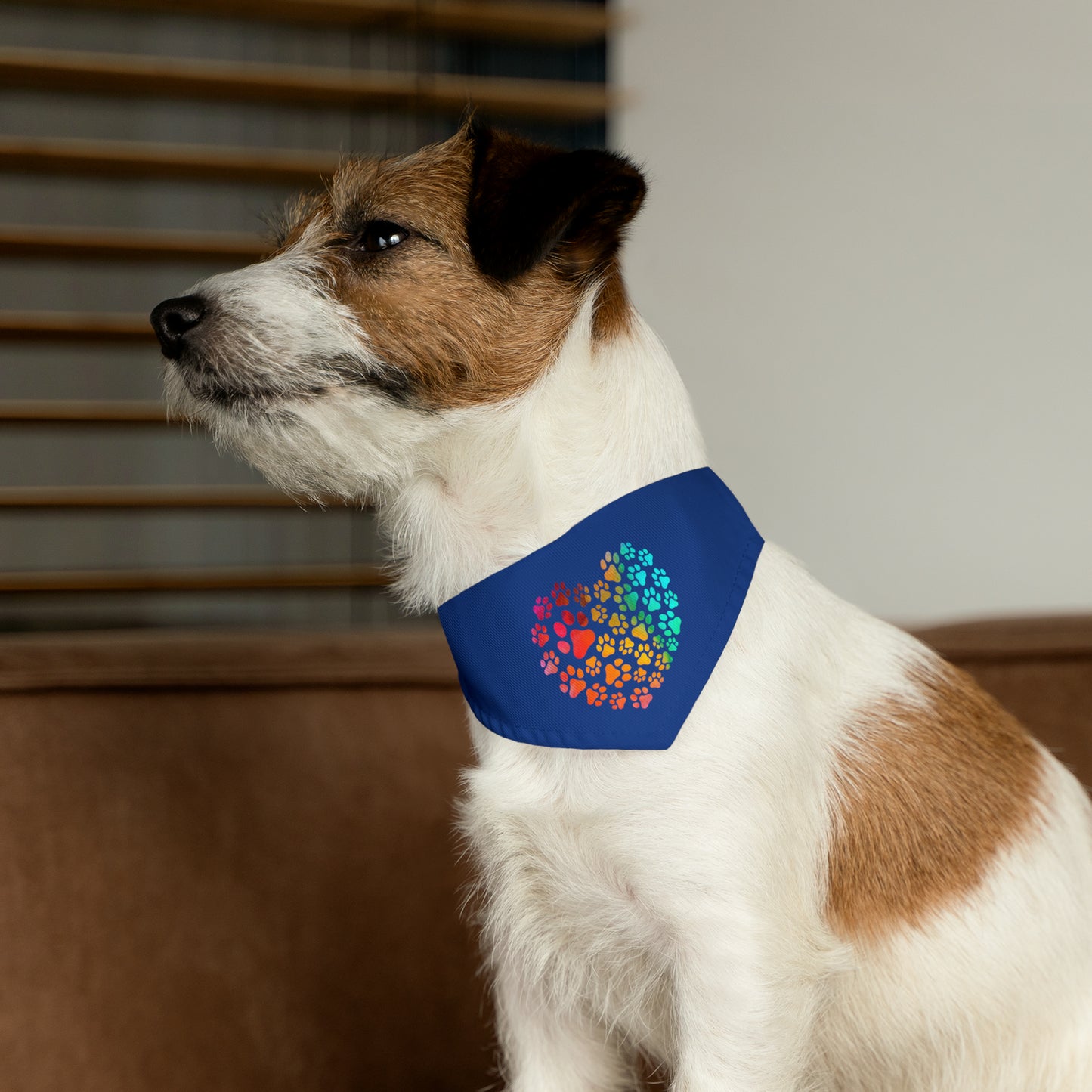 Rainbow Bandana Collar