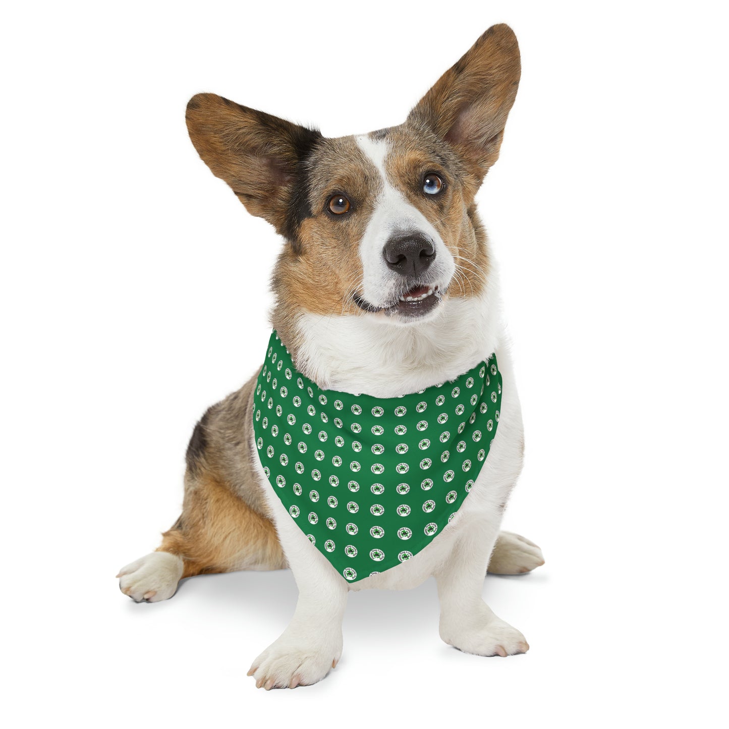 Green Happy Dog Lucky Dog Pet Bandana Collar