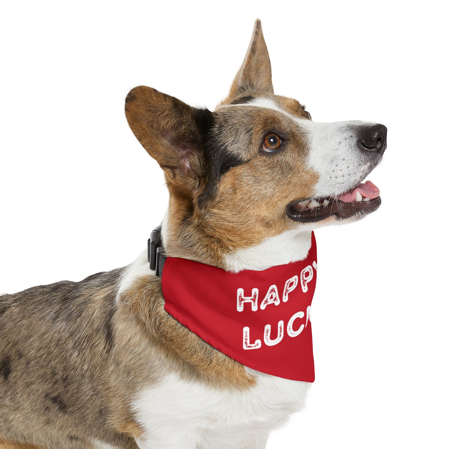 Red Happy Dog Lucky Dog Pet Bandana Collar