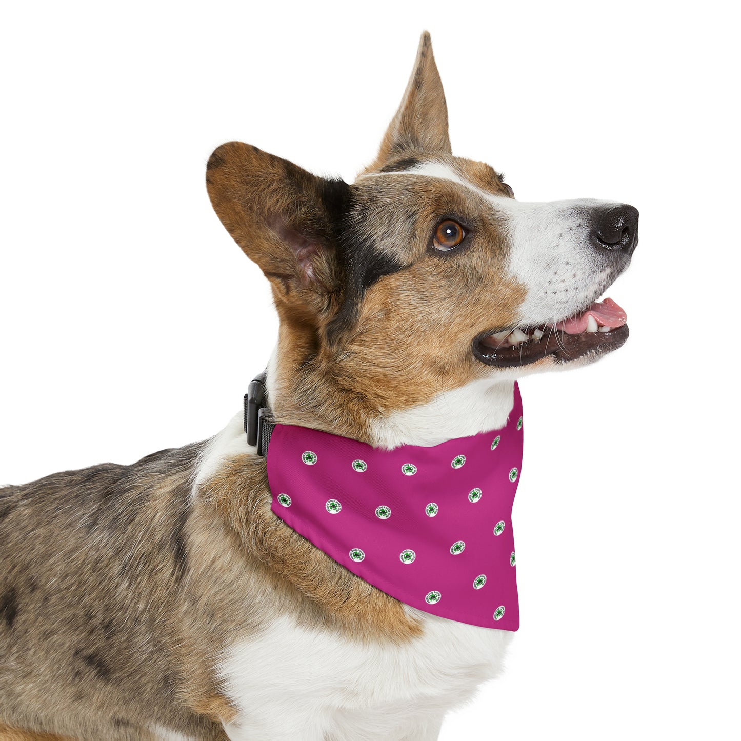 Happy Dog Lucky Dog Pet Bandana Collar