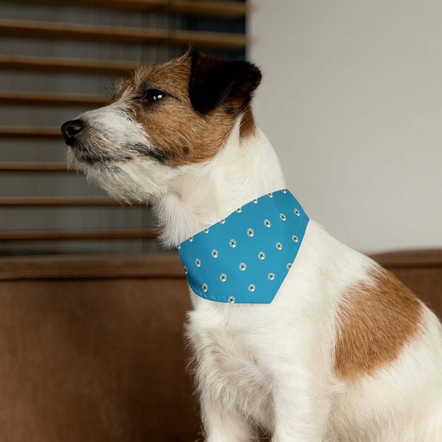 Blue Happy Dog Lucky Dog Pet Bandana Collar