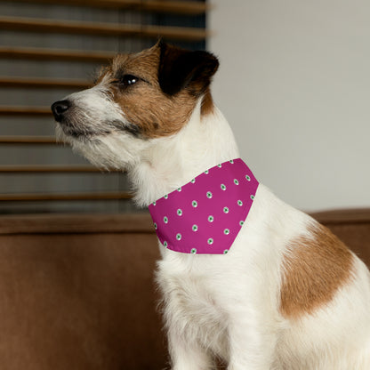 Happy Dog Lucky Dog Pet Bandana Collar