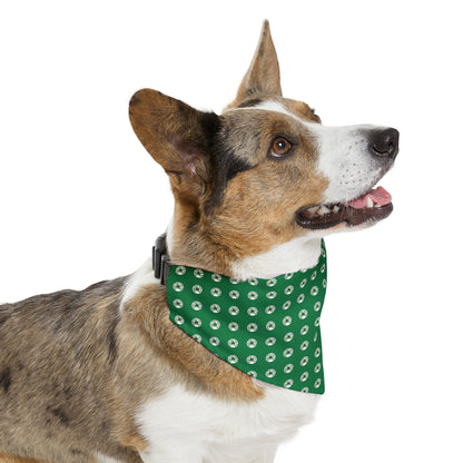 Green Happy Dog Lucky Dog Pet Bandana Collar