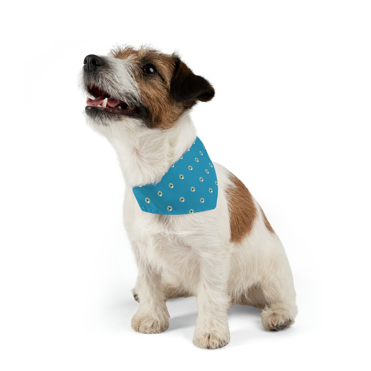 Blue Happy Dog Lucky Dog Pet Bandana Collar