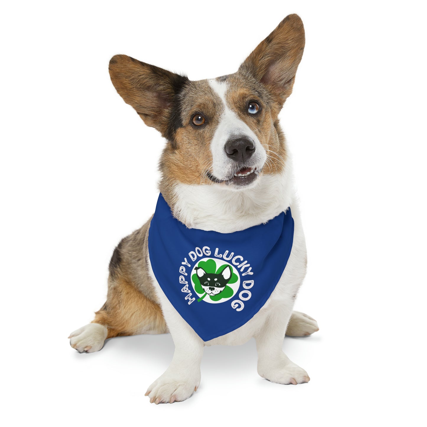 Happy Dog Lucky Dog Bandana Collar