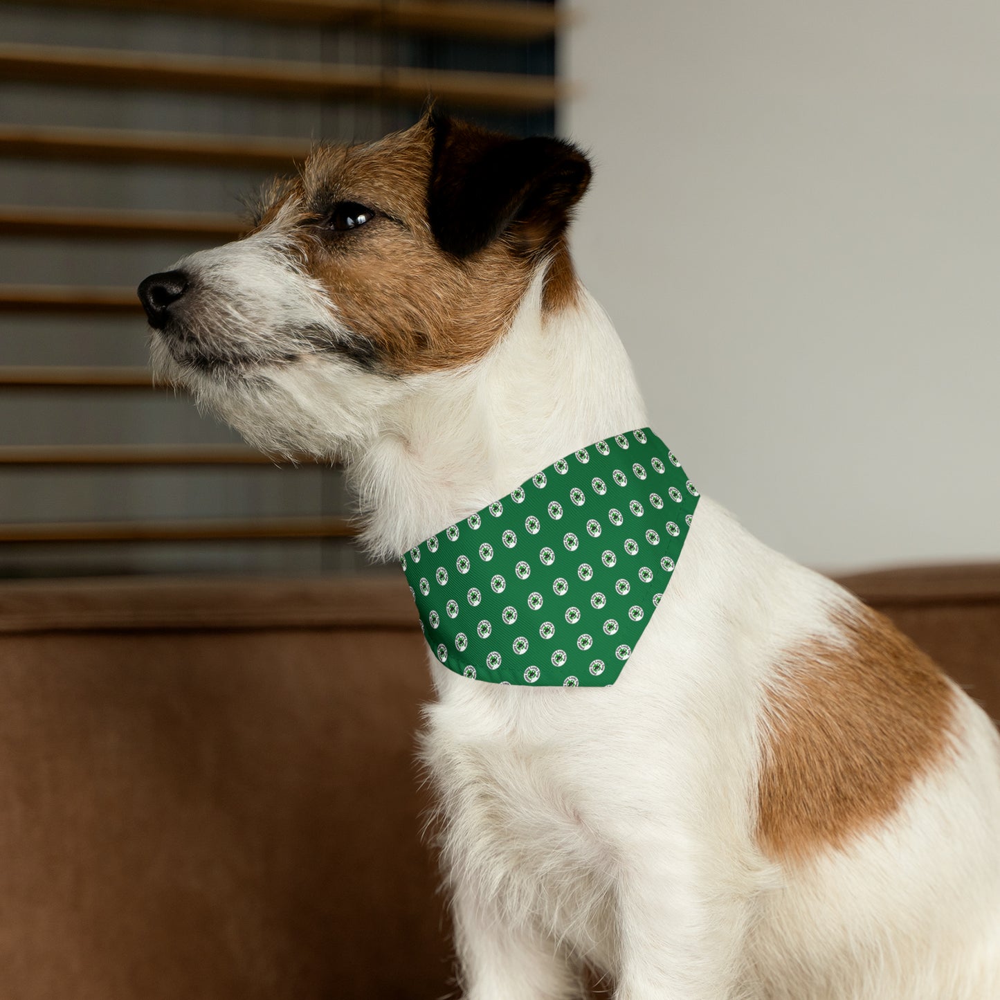 Green Happy Dog Lucky Dog Pet Bandana Collar