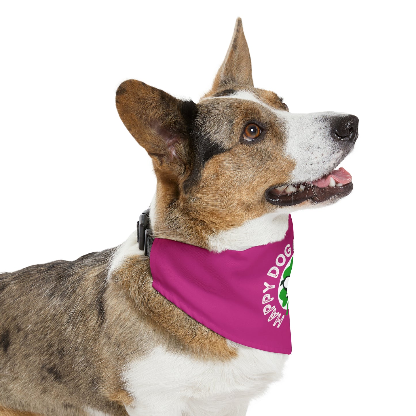 Pink Happy Dog Lucky Dog Bandana Collar